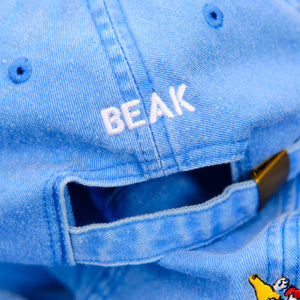 Beak Chino Cap