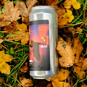 FLIGHT MECHANICS - BEAK X EQUILIBRIUM - 8.2% DIPA