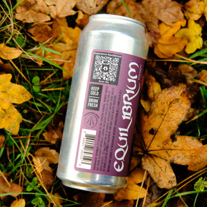 FLIGHT MECHANICS - BEAK X EQUILIBRIUM - 8.2% DIPA