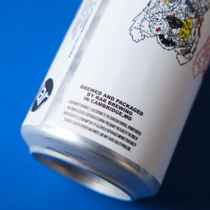 OUT OF ORDER: DIB DAB - RAR x BEAK - 5% SOUR ALE