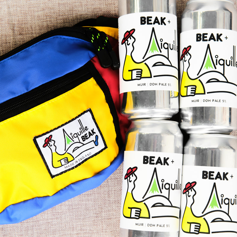 AIGUILLE BUNDLE (BUM BAG + 4 PACK MUIR 5% DDH PALE)