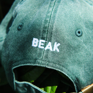 Beak Chino Cap - Green