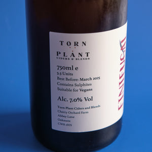 Finiugal - Torn Plant - 7% - Dry Cider